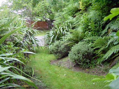 Turangi Trout Lodge Экстерьер фото